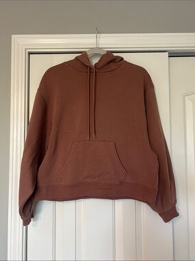 DSG Women's Pullover Hoodie in Rust Size S